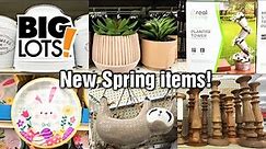 BIG LOTS! NEW Spring Items!