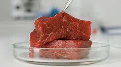 Italy is set to ban lab-grown meat – here’s why it should think again