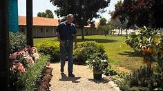 The Best Place to Plant a Gardenia Bush : Garden Savvy