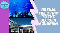 Georgia Aquarium Virtual Field Trip/Tour