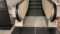 The Rise and Fall of JCPenney's Escalators
