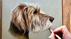 How to draw a pet portrait - Beginner step by step