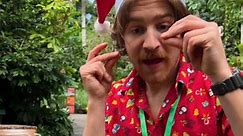 What does Christmas smell like? 🎄👃 #EdenProject #ChristmasSpice #GrowingFood #RainforestPlants #GrowYourOwn | Eden Project