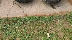 Wheels break before transaxle 🤔😵‍💫#offroadmower #racemower #custom #tractor #gokart #racecar #junk #car #prewarcar #madmax #machine #gardentractor #lawntractor #lawnmower #mower #smallengine #wheels #failure #fail #weakpoint