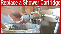 How to Replace a Delta Shower Cartridge