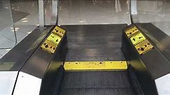 Otis Single File Escalators at Belk - Cordova Mall