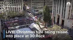 LIVE: Rockefeller Center Christmas Tree arrives