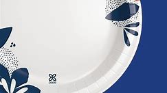 Dixie Medium Paper Plates, 8.5 Inch, 204 Count, 2X Stronger*, Microwave-Safe, Soak-Proof, Cut Resistant, Great For Everyday Breakfast, Lunch, & Dinner Meals - video Dailymotion