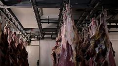 「屠殺場で干した生肉は冷凍庫の冷凍生肉。 肉の冷蔵 – 肉の製造、肉のソーセージ、牛の肉のカーカスを掛けたもの。 生の食べ物の健康食品。」の動画素材（ロイヤリティフリー）15290611 | Shutterstock