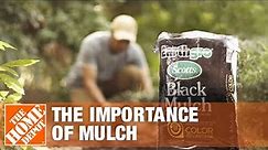 Best Mulch for Your Yard