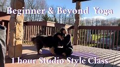 Beginner & Beyond Yoga Asana Studio Style Hatha Class - Full Body w/ Guided Savasana Meditation
