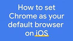 Google Chrome - Add Chrome as your default browser when...