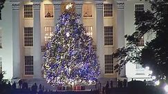 Alabama state Christmas tree lights up