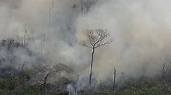 Fires in Amazon rainforest rage at record rate