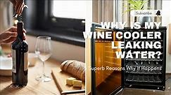 Why Is My Wine Cooler Leaking Water? 3 Superb Reasons Why It Happens