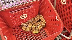 6-foot long boa constrictor found in Target shopping cart