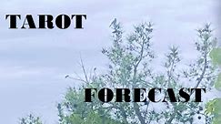 Your Tarot Energy Forecast April 1 - 7