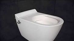 Sanitear WC met bidet Mineraal HYG01