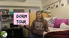 College Dorm Tour// 2016-2017