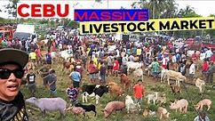 Inside Visayas' Biggest Livestock Auction Market (Beyond Words)