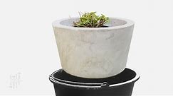 Large Planter Made With 2 Buckets - DIY Concrete