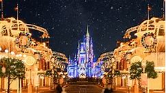 Merry Christmas from Walt Disney World!
