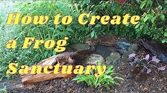 How to Create a Frog Conservation Area and Attract Toads and Frogs to your Yard or Garden