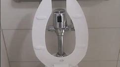 Toilet Flushing #32