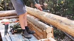 4 years building a primitive log cabin part 3 - continue build a Walls