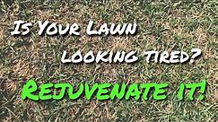 Lawn Rejuvenation Part 1of4 - Dethatching