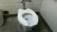 powerful Toto toilet