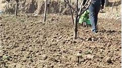 hard soil farming
