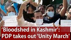 ‘Bloodshed in Kashmir’: PDP takes out 'Unity March'