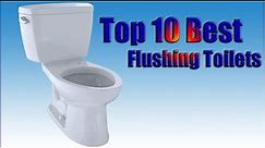 Top 10 Best Flushing Toilets | Reviewed by Pros Updated 2020 | Toiletsguide