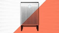 Manage Pesky Allergens With the Best Air Purifiers We’ve Tested