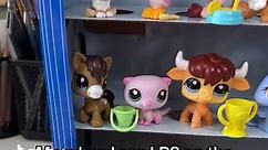 I cannot wait to get all the new LPS!🫣 #lps #littlestpetshop #thebobbleisback #lps24launch18