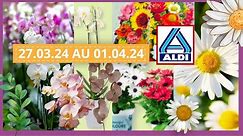 ALDI CATALOGUE FRANCE DU 26.03.24 AU 01.04.24 -ARRIVAGES DU 27.03.24 FLEURS PLANTES