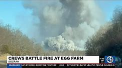 VIDEO: 100,000 chickens die in Bozrah egg farm fire