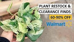 Walmart Plant Restock & Gardening Clearance Finds (60-90% Off) | Plant Shopping With Me October 2021