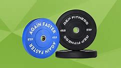 10 Best Weight Plates You Can Buy in 2024 (March Update)