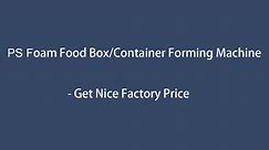 Disposable Fast Food Box Making Machine Foam Plate Making Machine Disposable Food Container Machine