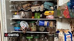Extreme cleaner reveals "worst fridge" she has ever seen filled with four YEAR old food
