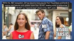 Visual Basic in 4 minutes