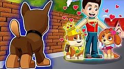 Chase's Loneliness, What Is Going On Here?! - PAW Patrol Ultimate Rescue Missions | Rainbow 3