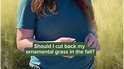 When and how to cut back ornamental grass