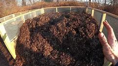 Winter Composting with Shredded Leaves