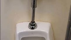 Urinal Flushing #72