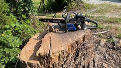 Sawing Down a 3.5 ft. Diameter Oak Tree with an 80 Volt Kobalt Electric Chainsaw