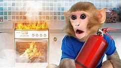 Baby Monkey Alfie's Toast Got on Fire and He Learns How to Stop It 🐵🚒
