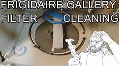 How to Clean Frigidaire Dishwasher Filter - Gallery